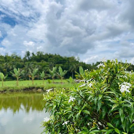 Jazz Ferme Inn Batuan Bohol Buitenkant foto