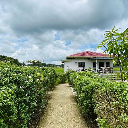 Jazz Ferme Inn Batuan Bohol Buitenkant foto