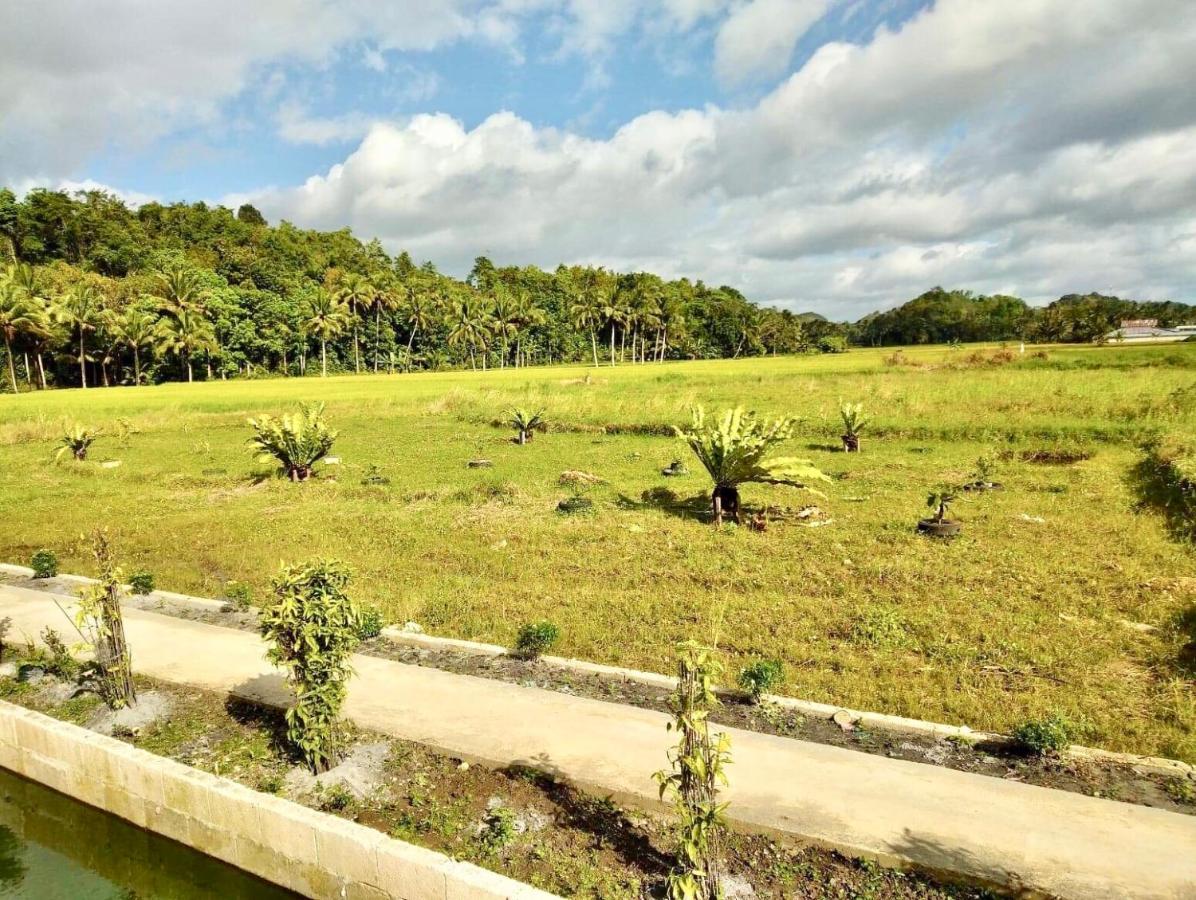 Jazz Ferme Inn Batuan Bohol Buitenkant foto