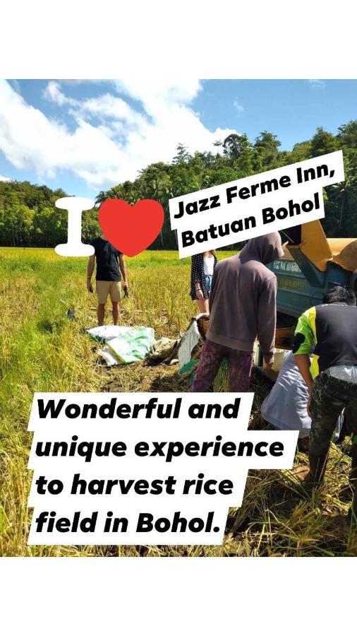 Jazz Ferme Inn Batuan Bohol Buitenkant foto