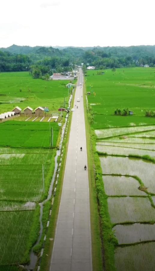 Jazz Ferme Inn Batuan Bohol Buitenkant foto