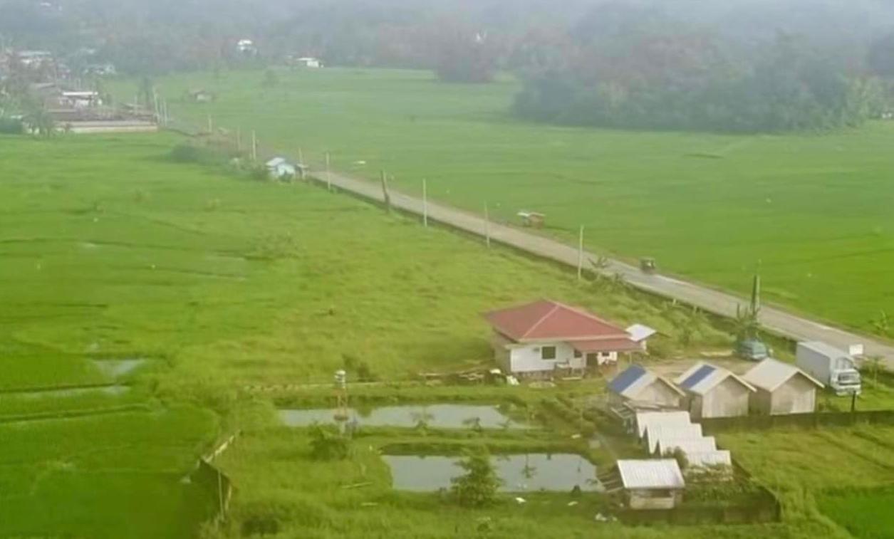 Jazz Ferme Inn Batuan Bohol Buitenkant foto
