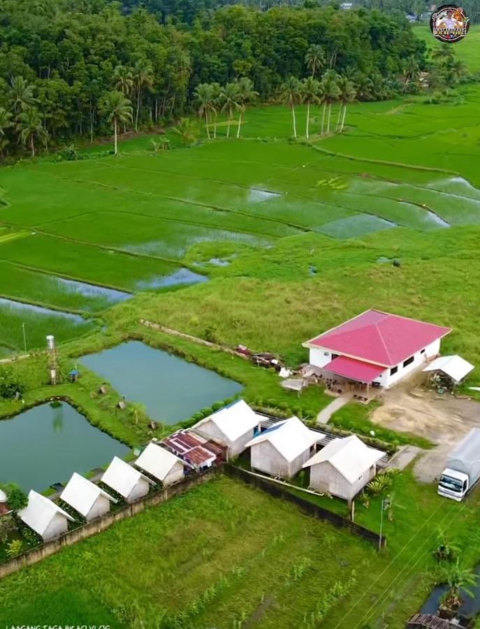 Jazz Ferme Inn Batuan Bohol Buitenkant foto