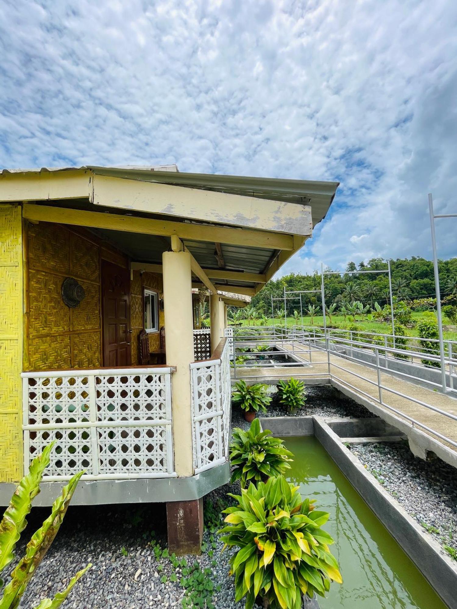 Jazz Ferme Inn Batuan Bohol Buitenkant foto