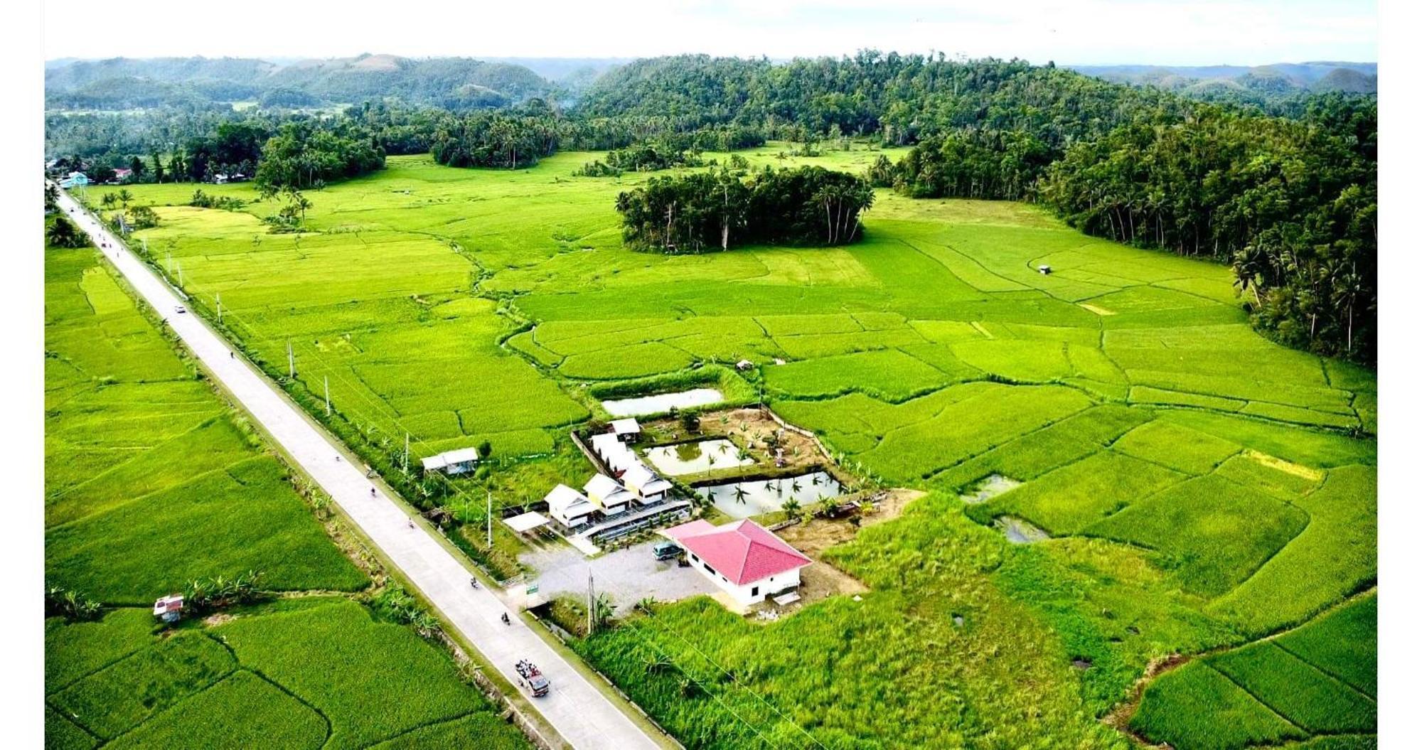 Jazz Ferme Inn Batuan Bohol Buitenkant foto