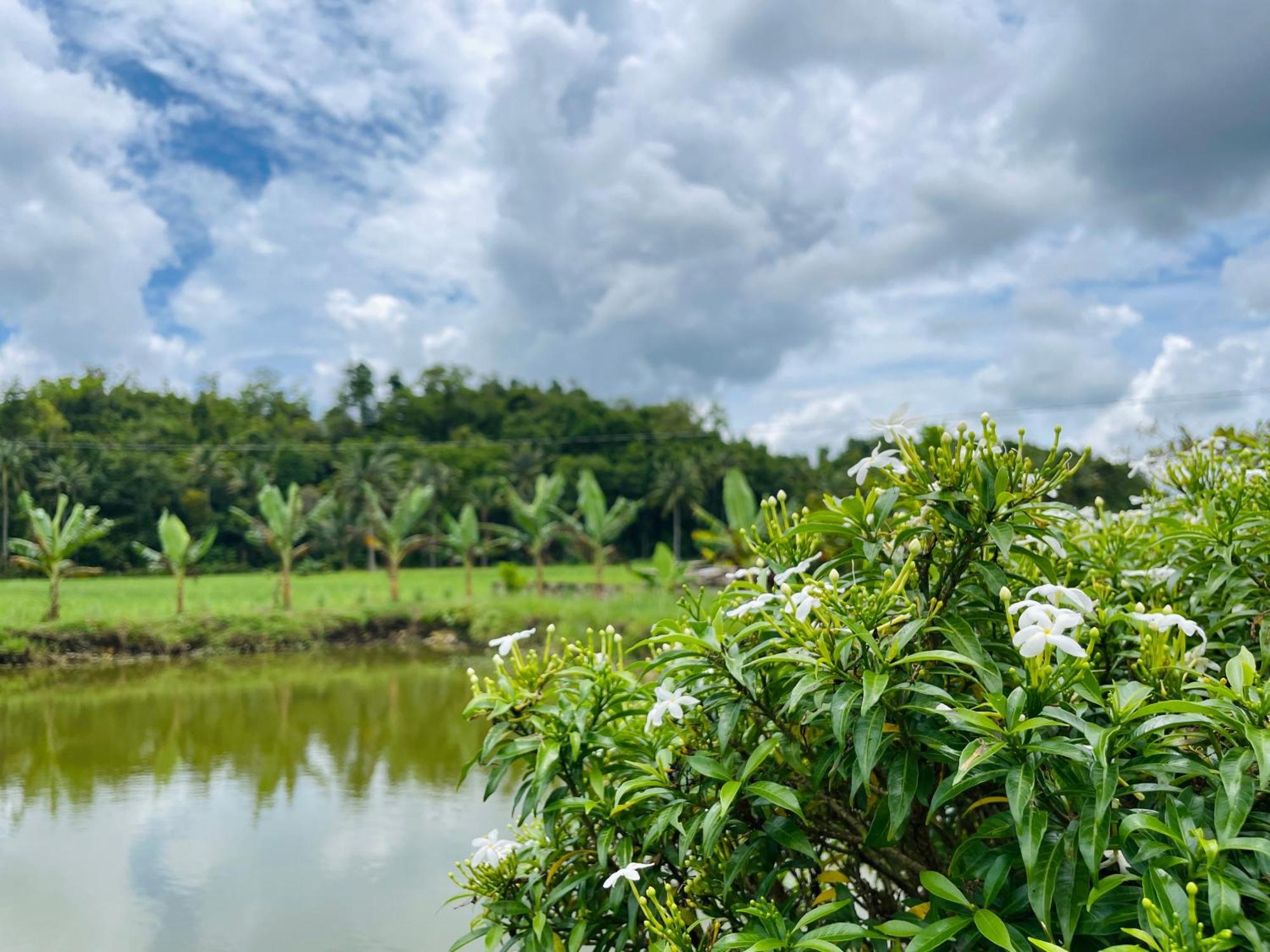 Jazz Ferme Inn Batuan Bohol Buitenkant foto
