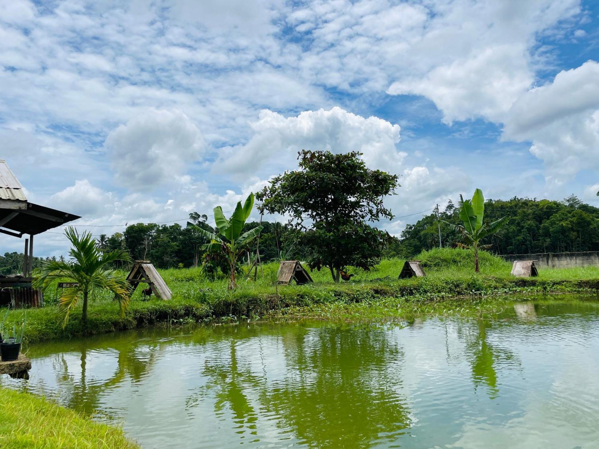 Jazz Ferme Inn Batuan Bohol Buitenkant foto