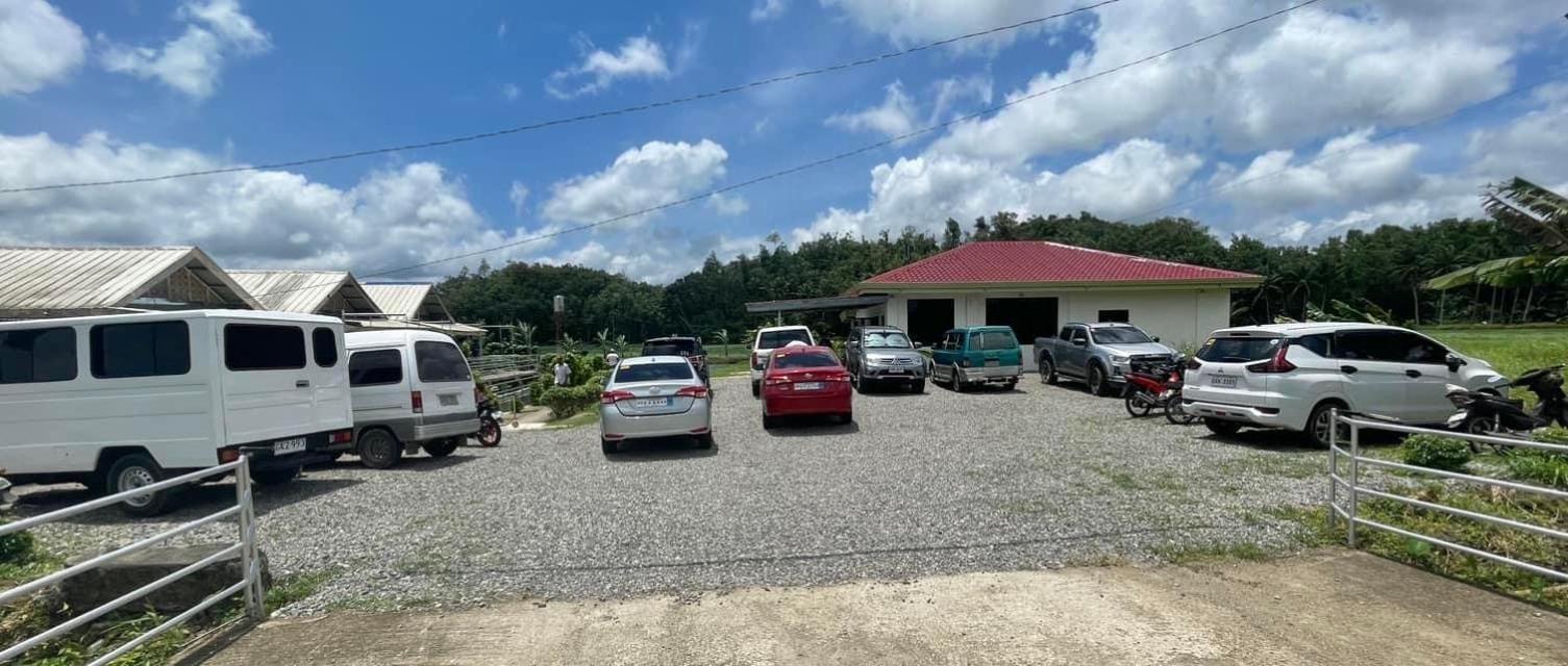 Jazz Ferme Inn Batuan Bohol Buitenkant foto